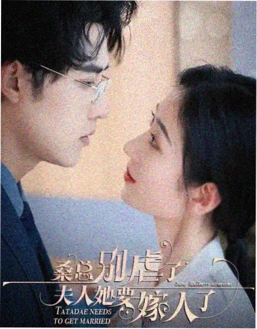 雪线之上 剧集下载